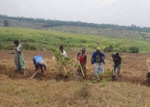 Preparing the farmland for rainy season
