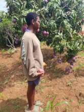 Mago production contribute to fight malnutrion