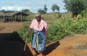 Provide care to  Lilongwe Rural Woman
