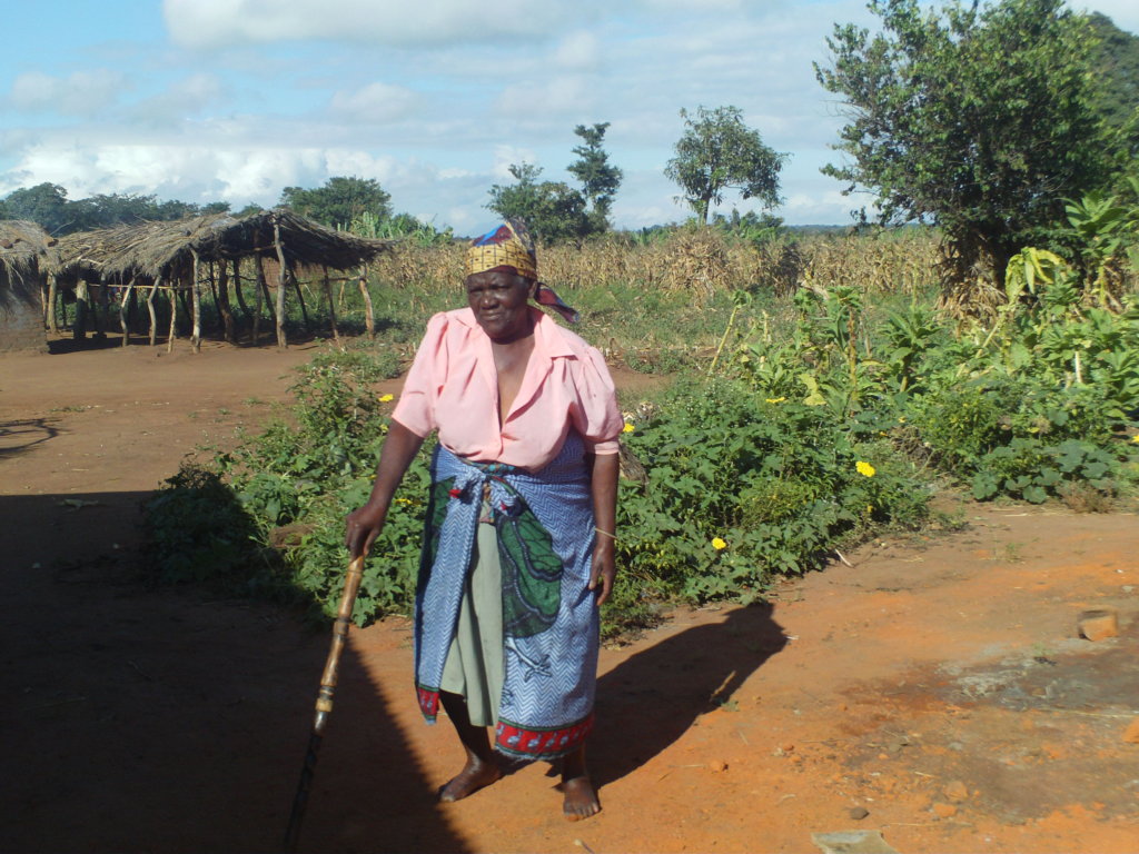 Provide care to  Lilongwe Rural Woman