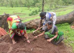 Women sowing the seeds received
