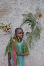 Branch of Calliandra calothyrsus tree