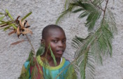 Save Lives, Conserve Environment with Agroforestry