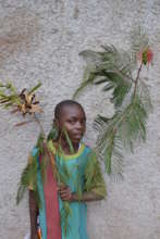 Save Lives, Conserve Environment with Agroforestry