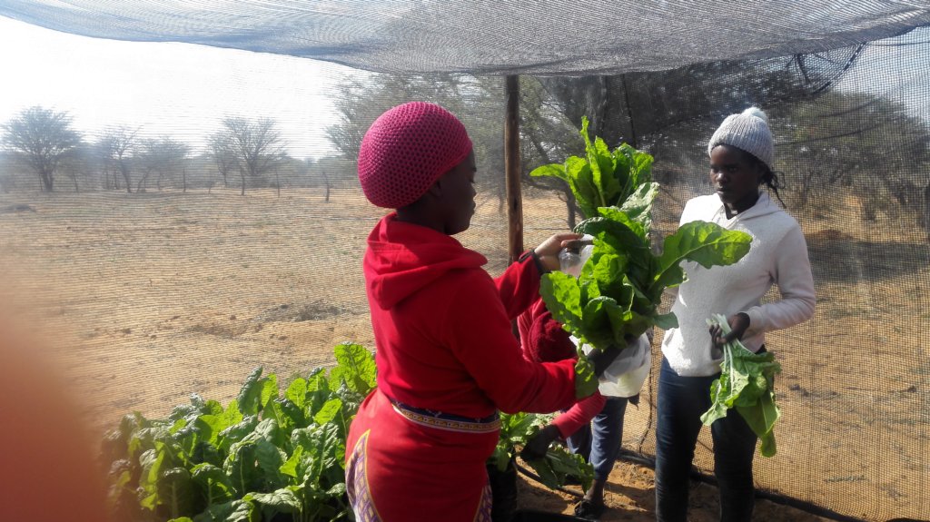 Food Security For 500 Children In Namibia