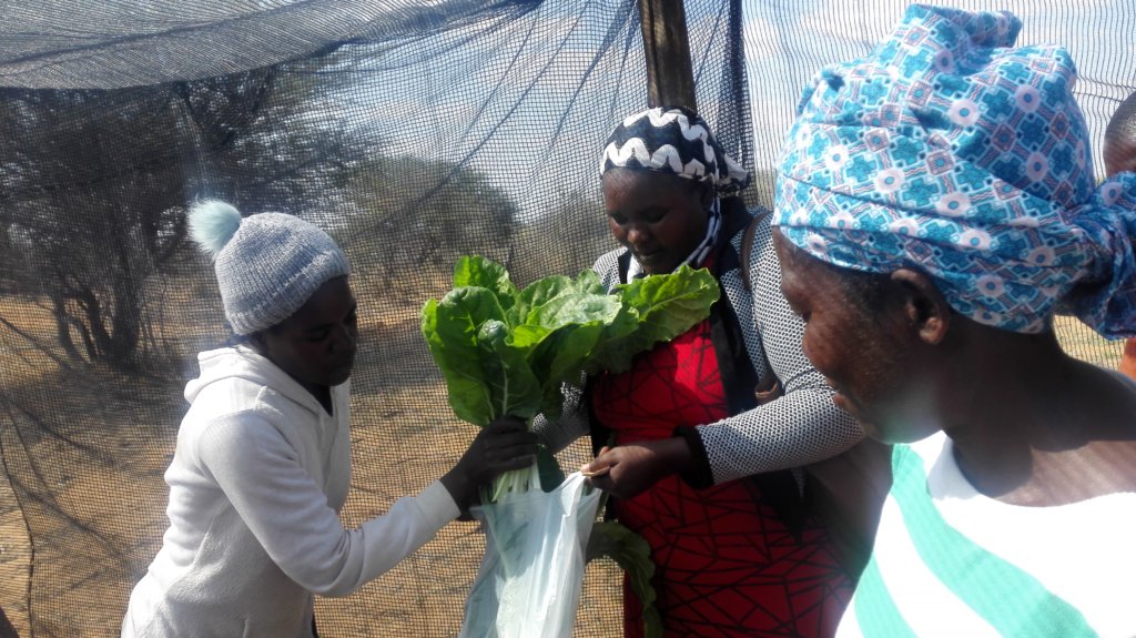 Food Security For 500 Children In Namibia