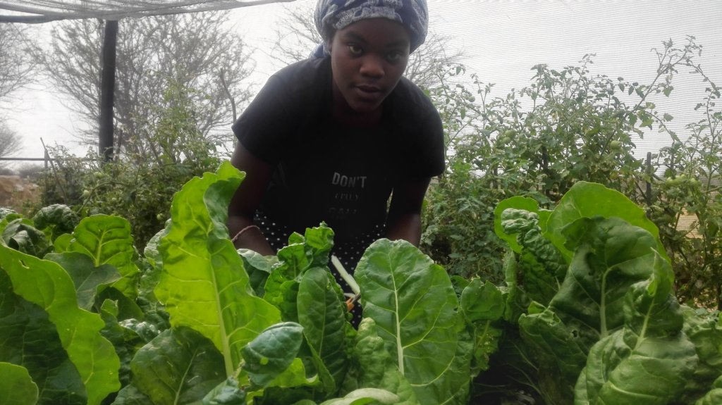 Food Security For 500 Children In Namibia