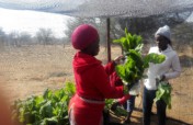 Food Security For 500 Children In Namibia