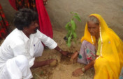 Planting A Tree! Save the Earth !