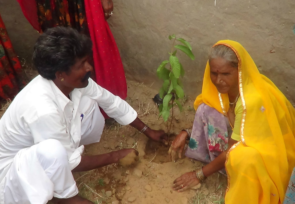 Planting A Tree! Save the Earth !