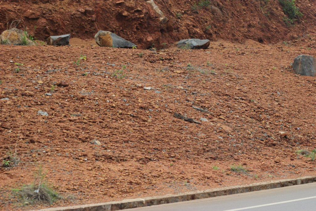 Reversing Deforestation and Global Warming