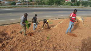 youths planting trees -sponsored by Develop Africa