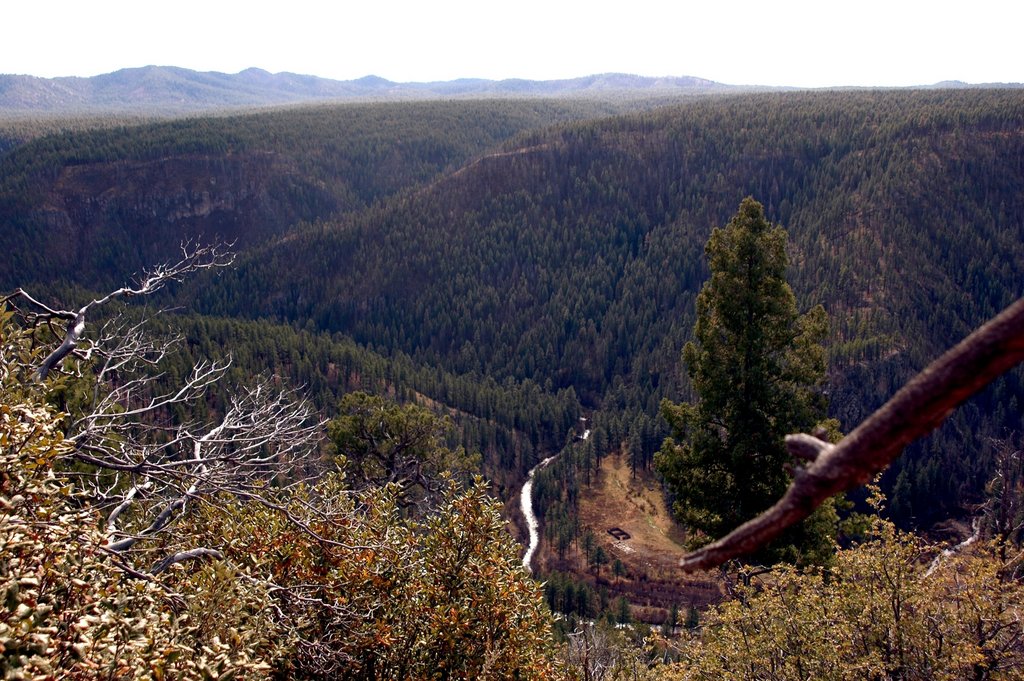 Wolves and Wilderness