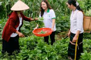 LIN staff on site visit in Lam Dong province
