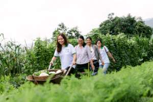 Narrow The Gap - Crossed paths for social impacts