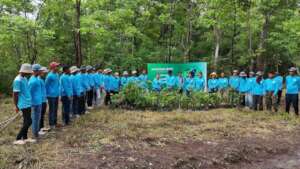 PLCN Preah Vihear Tree Planting