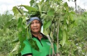 Empowering Women Forest Defenders in Cambodia