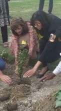 Participation in tree plantation campaign