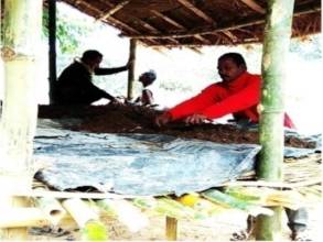 Kanai Village- vermi composting after