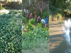 village Dhulkumari (Pond Cleaning ) before& after