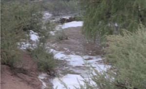 FLOOD DAMAGE RELIEF FUND