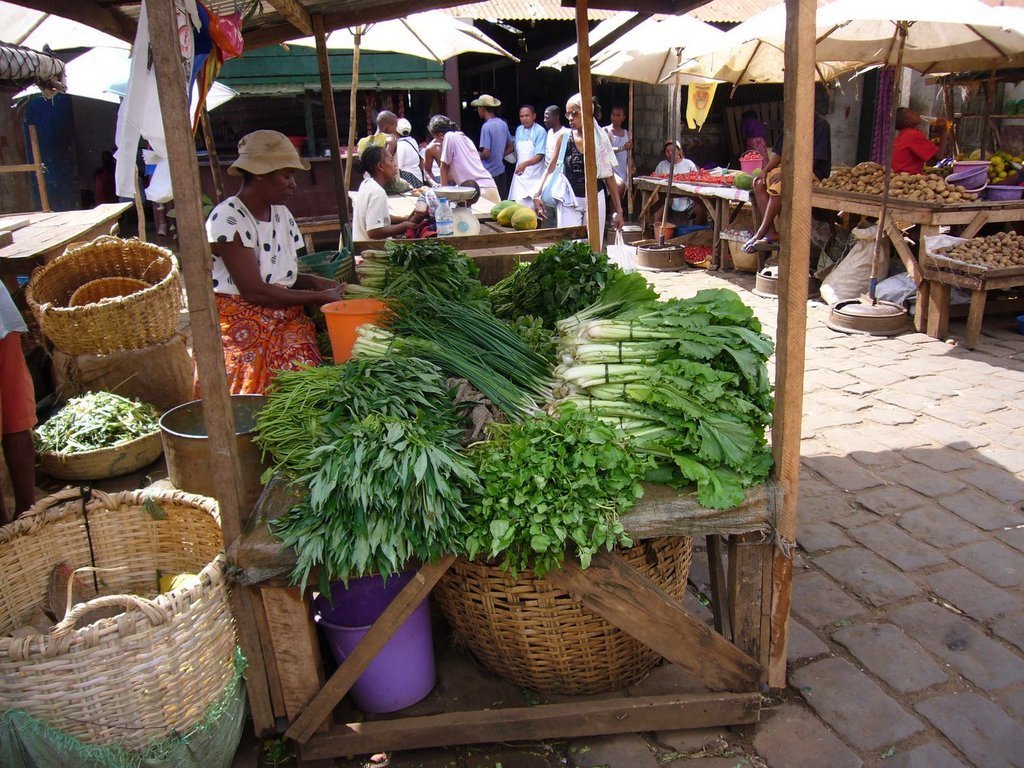 Malagasy Community Reforestation Institute