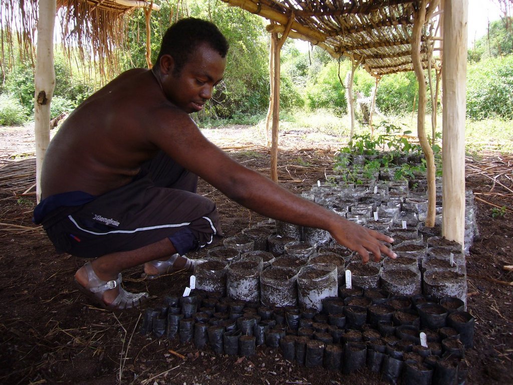 Malagasy Community Reforestation Institute