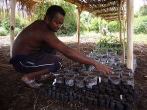 Measuring Forest Regeneration