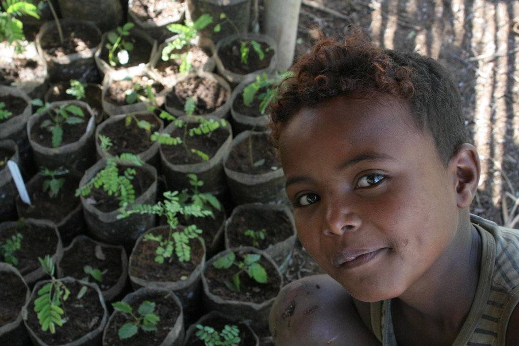 Malagasy Community Reforestation Institute