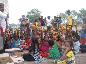 Mangoes Distribution