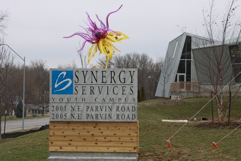 Synergy Services Youth Resiliency Program