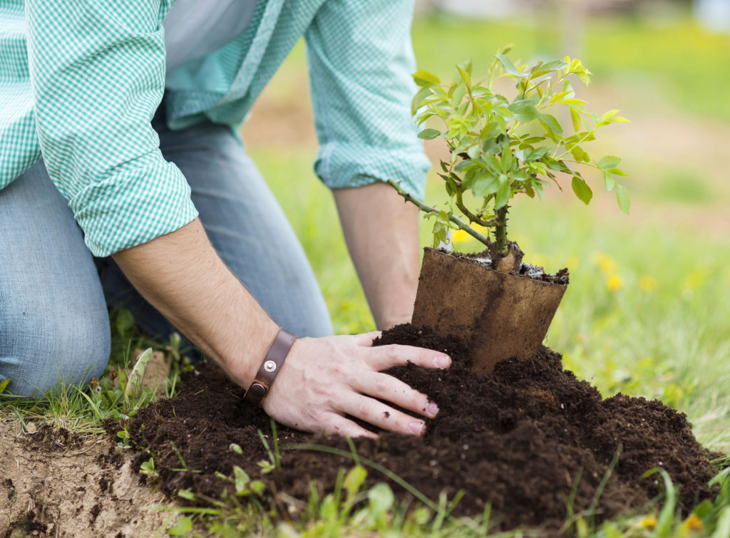 Plant a Tree in Karachi - Help Climate Change