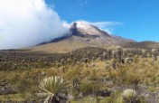 Conservation and Preservation Program in Colombia