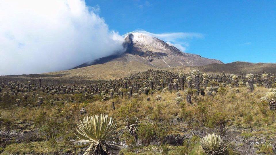 Conservation and Preservation Program in Colombia