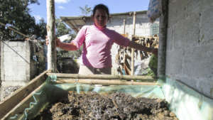 Vermicompost 4