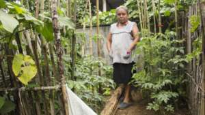 Growing food produts