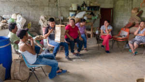Training workshop on Meliponas management