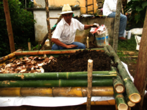 Vermicompost