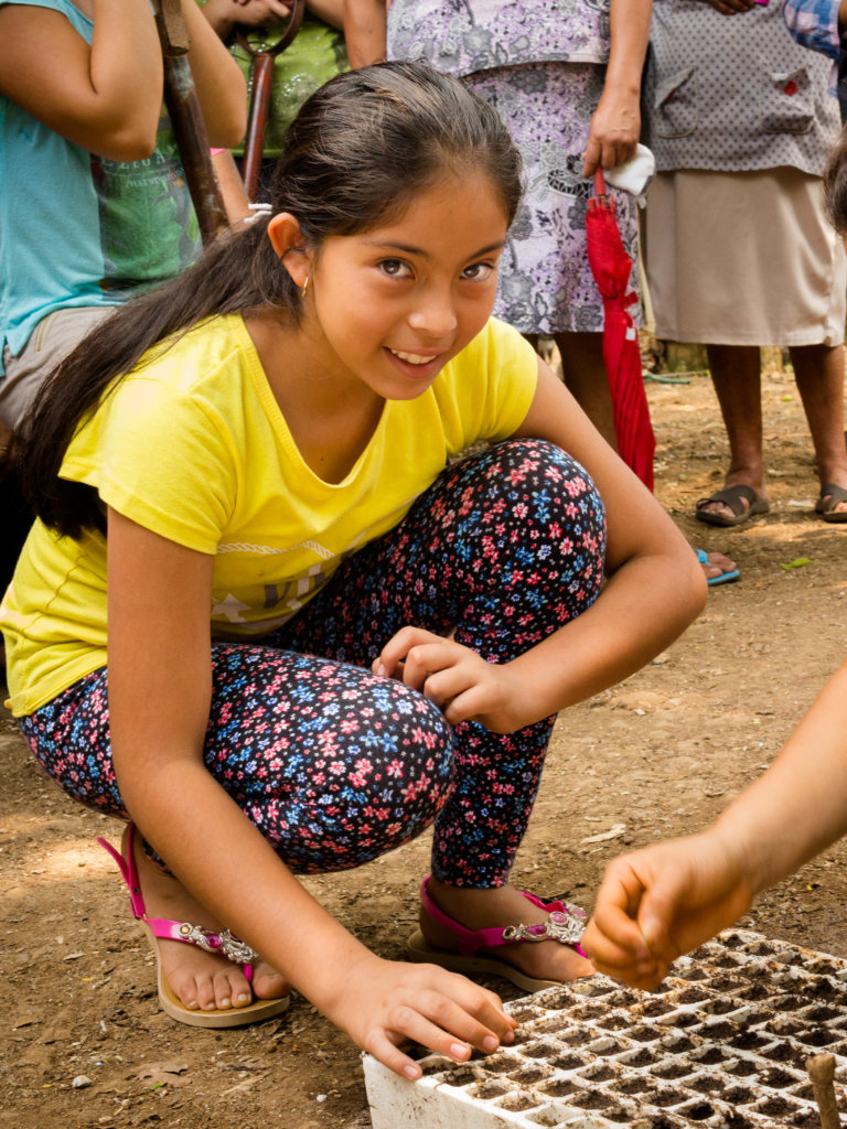 Sustainably facing coffee rust threat in Mexico.