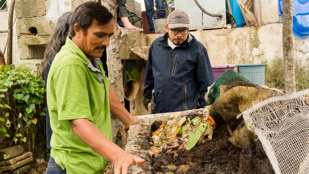 Sustainably facing coffee rust threat in Mexico.