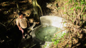 Water spring restoration