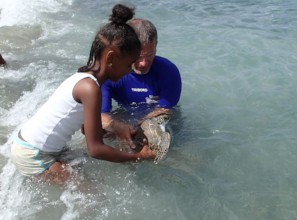 Girl helping Ard release a rescued turtle