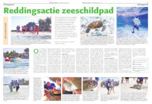 Newspaper article about rescues