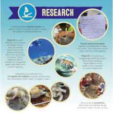 Research sign