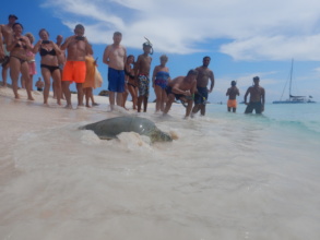 Release at Klein