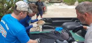Rescue at Daaibooi beach
