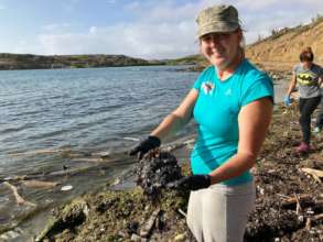Oil spill clean up