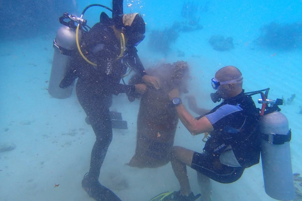 Help Protect Endangered Sea Turtles in Curacao