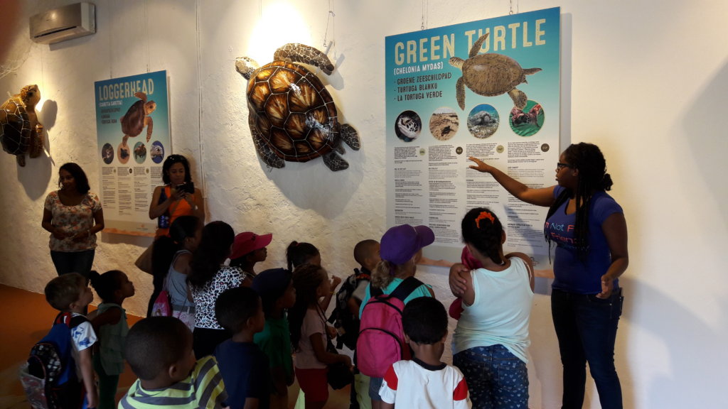 Sea turtle exposition at Landhuis Savonet