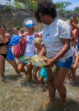 Sea turtle release